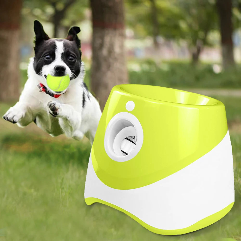 Automatic Dog Ball Launcher With 3 Tennis Balls