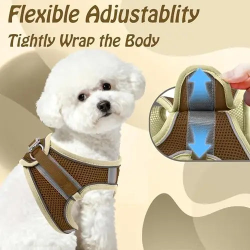 YTYIN Adjustable Dog Harness And Leash Set