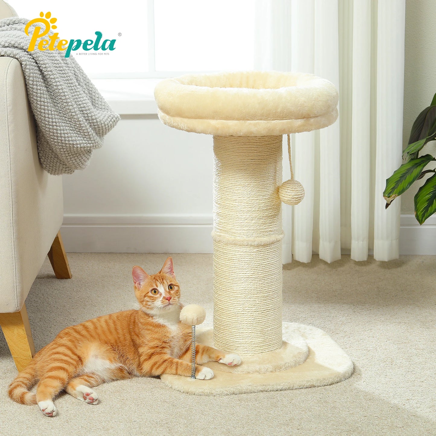 PAWZ Road Flower Small Cat Tree Scratching Post Natural Sisal