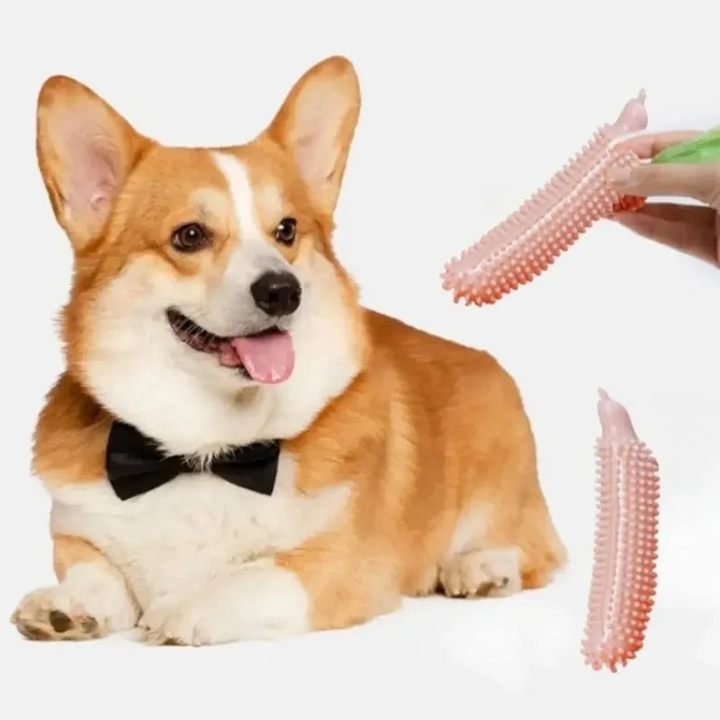 Dog Teeth Grinding Stick Cucumber Shape TPE Chew Toy