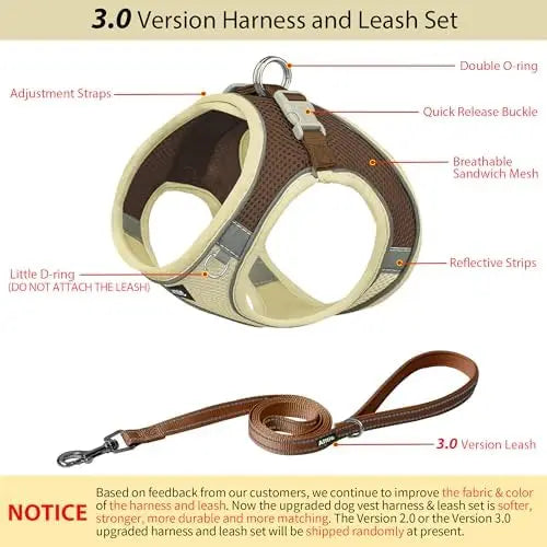 YTYIN Adjustable Dog Harness And Leash Set