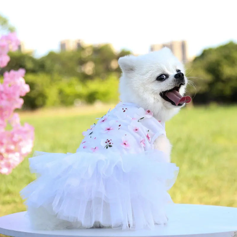 Floral Princess Dog Dress For Everyday Pet Outings