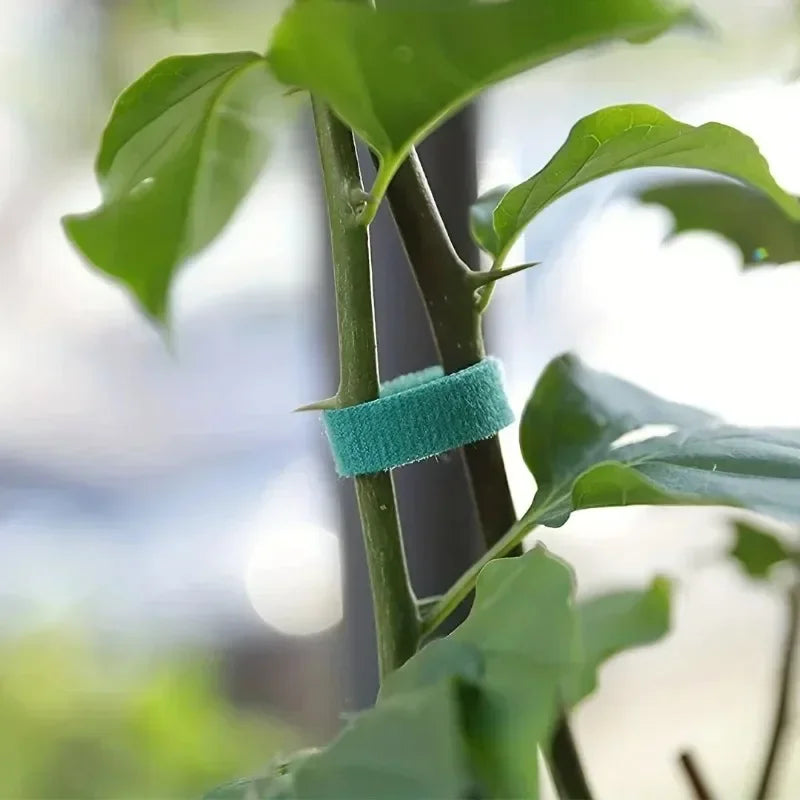 Self Adhesive Plant Nylon Cable Tie For Garden Plant Support