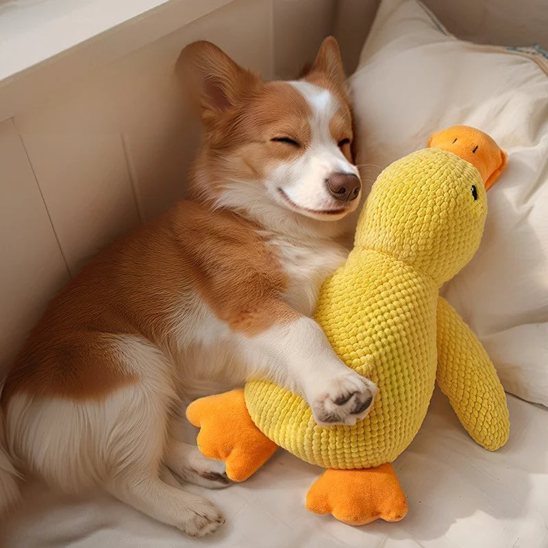 Plush Duck Dog Toy Squeaky Teething Bite-Resistant