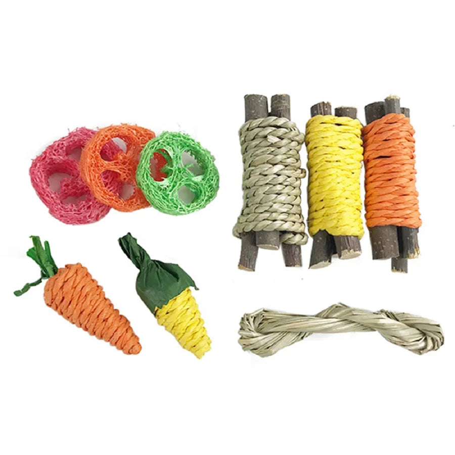 Small Pet Tooth Grinding Chew Toy Set For Rabbits Hamsters
