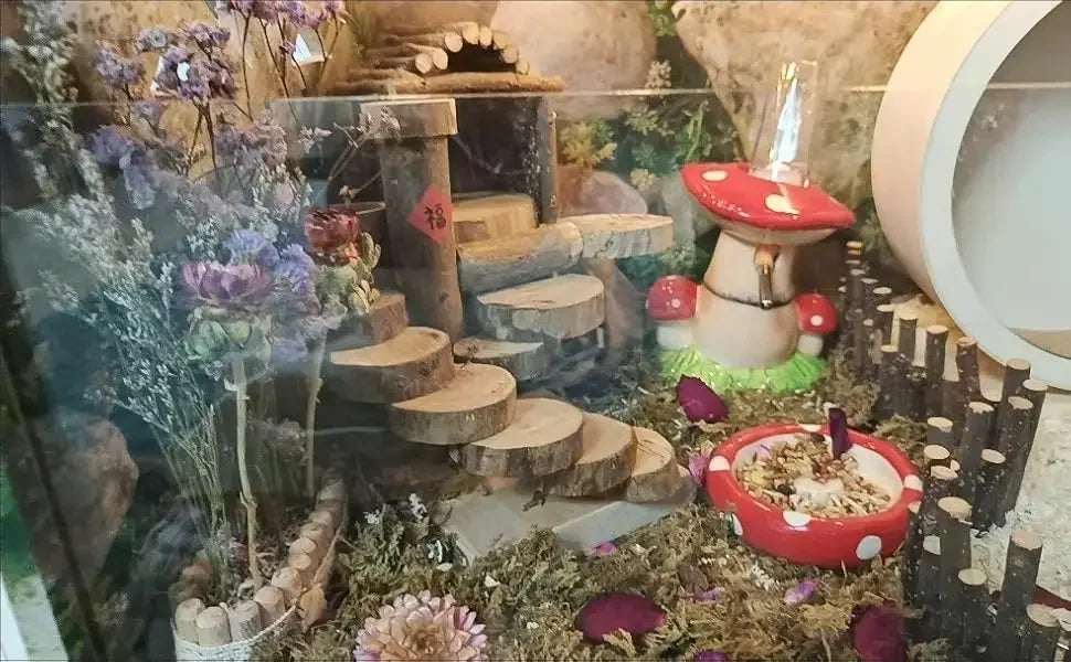 Mushroom Ceramic Hamster Hideout With Water Bottle Stand And Bowl