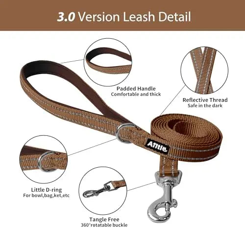 YTYIN Adjustable Dog Harness And Leash Set