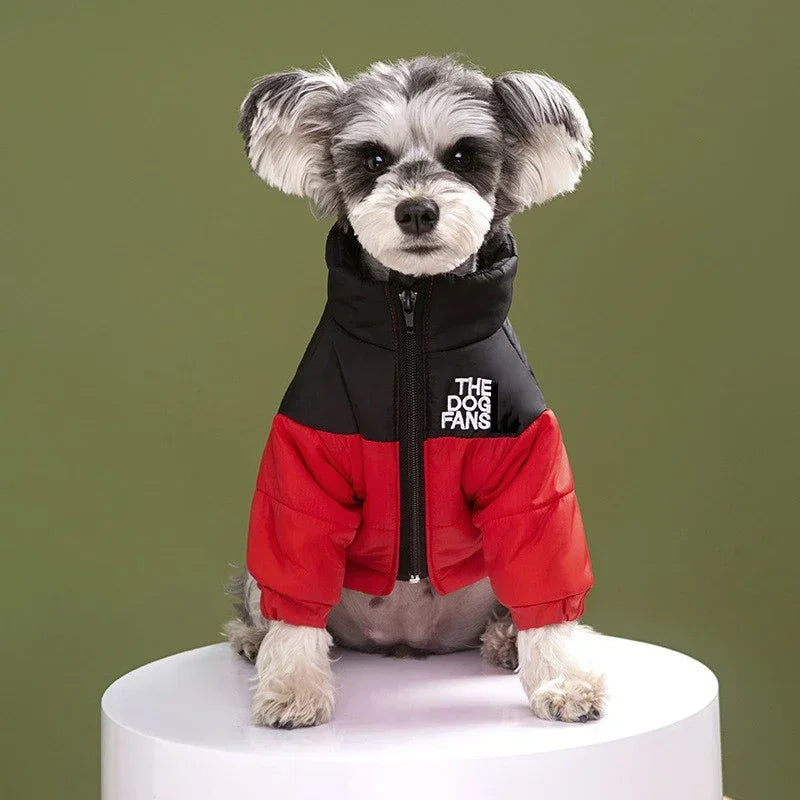 Embroidered Winter Dog Coat for Pets Cotton Warm Clothing
