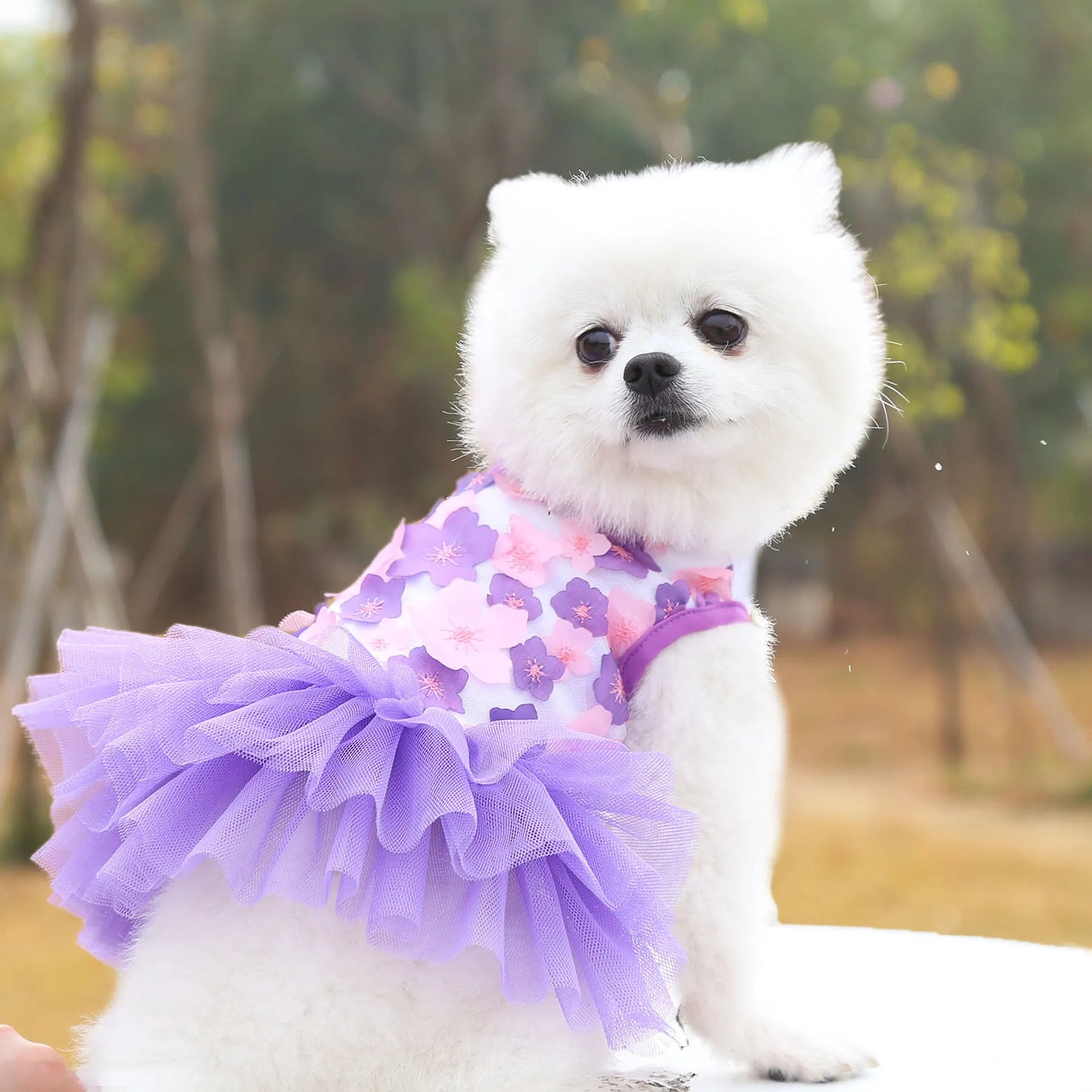 Floral Princess Dog Dress For Everyday Pet Outings