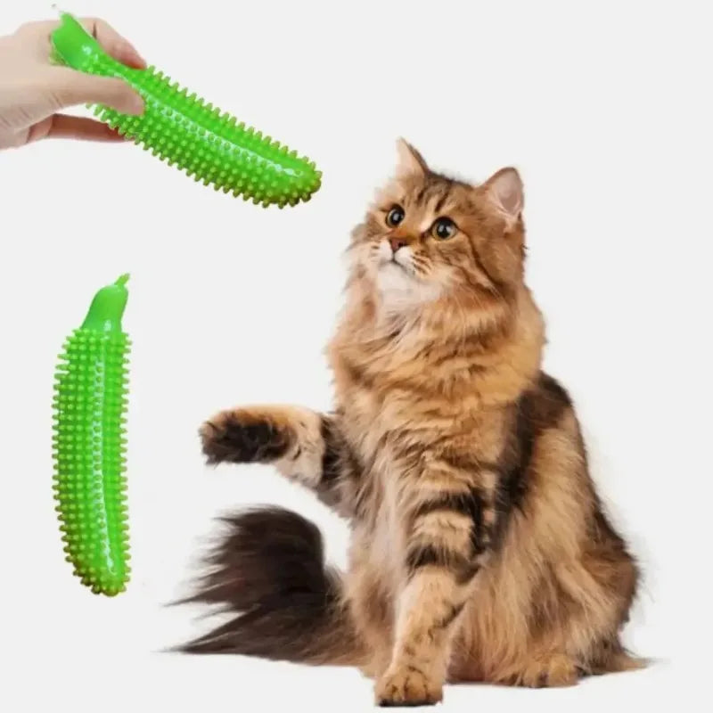Dog Teeth Grinding Stick Cucumber Shape TPE Chew Toy