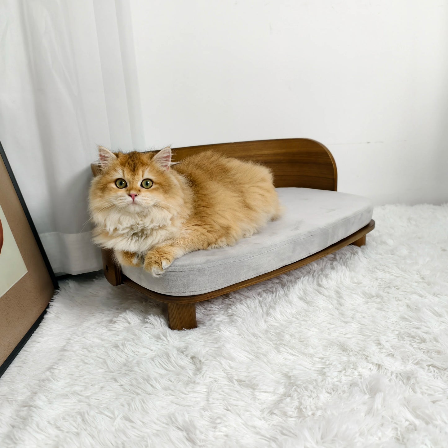 BINGOPAW Elevated Cat Bed Wooden Indoor Pet Sofa