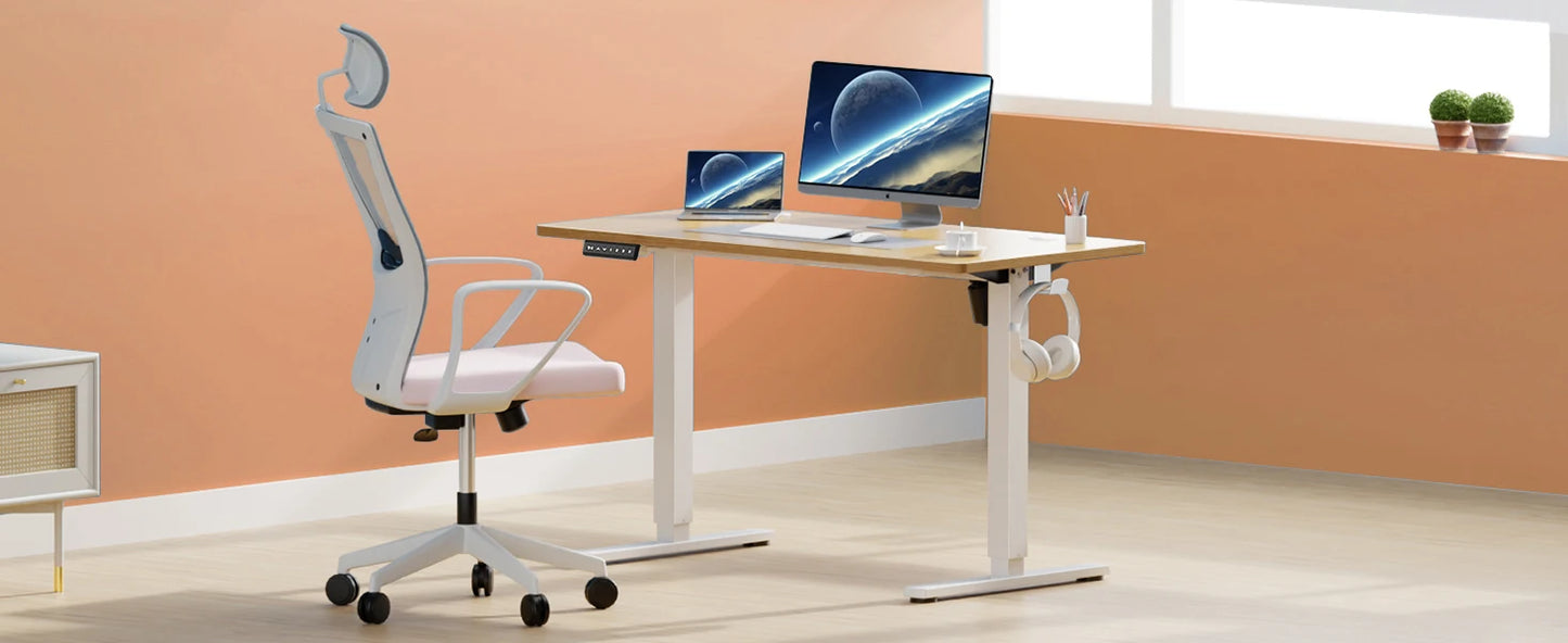 JHK Electric Standing Desk Adjustable Sit Stand Workstation