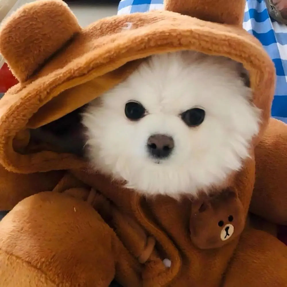 Cozy Plush Dog Purse Carrier With Secure Harness Clip