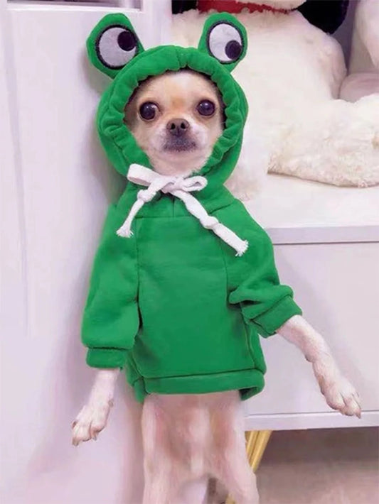 Cute Frog Dog Sweater Hoodie For Dogs