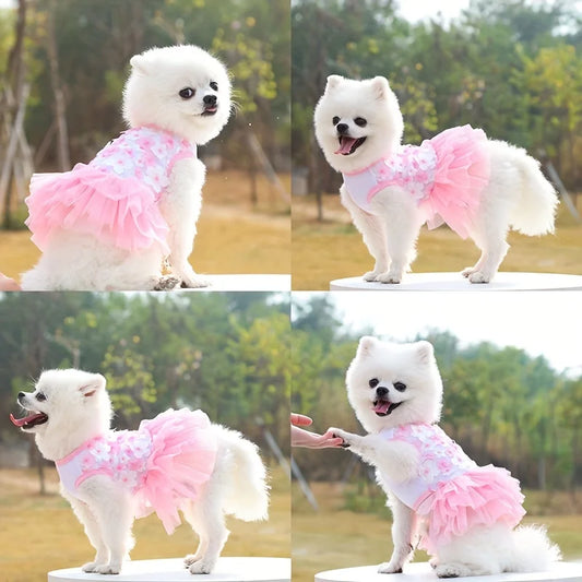 Floral Princess Dog Dress For Everyday Pet Outings