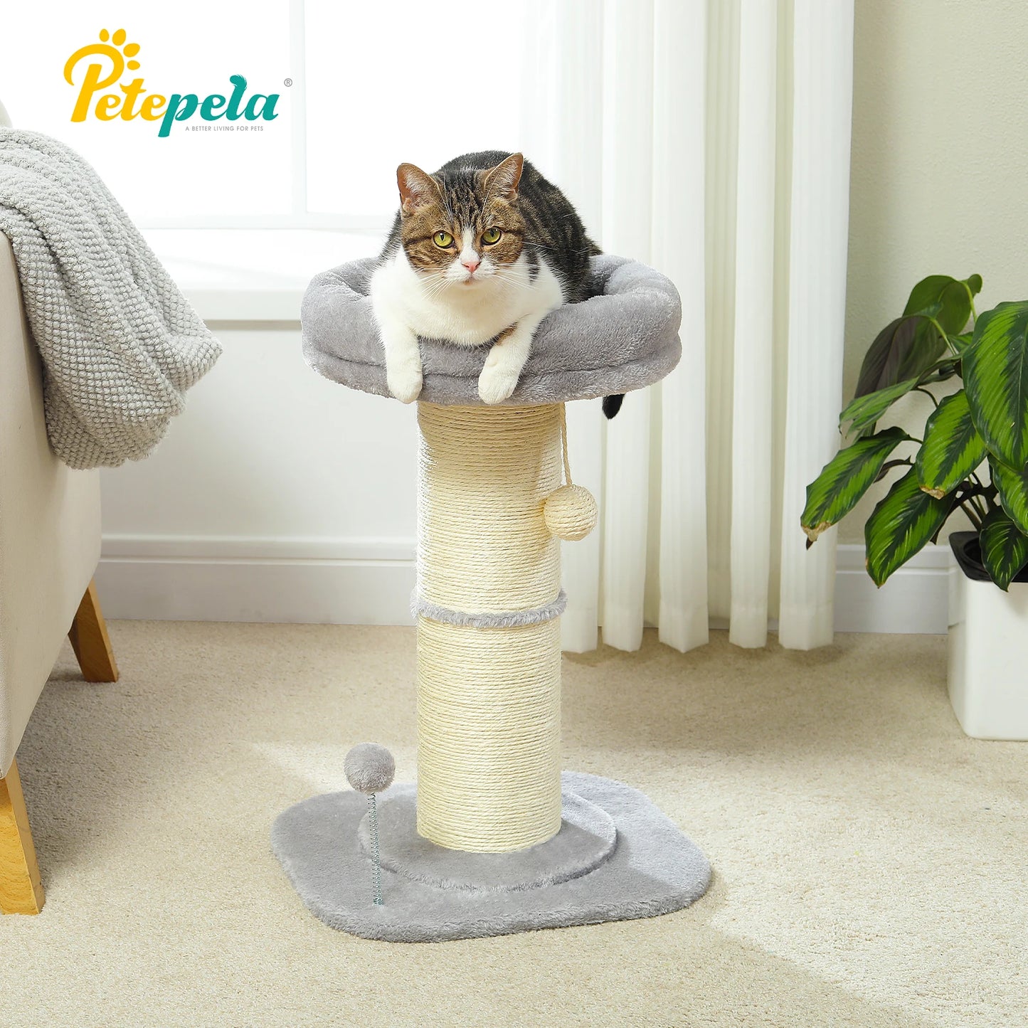 PAWZ Road Flower Small Cat Tree Scratching Post Natural Sisal