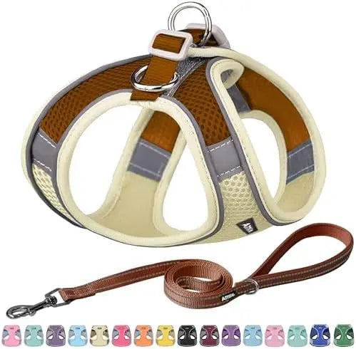 YTYIN Adjustable Dog Harness And Leash Set