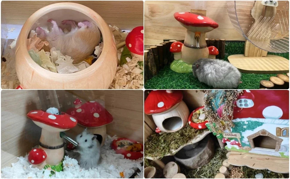 Mushroom Ceramic Hamster Hideout With Water Bottle Stand And Bowl