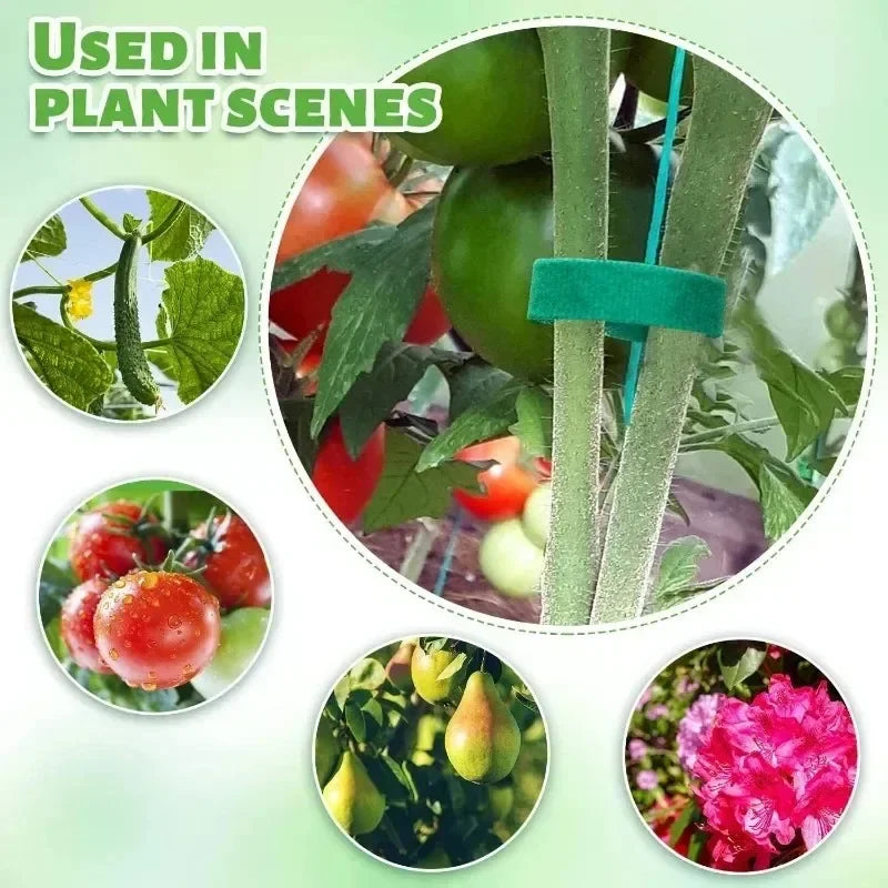 Self Adhesive Plant Nylon Cable Tie For Garden Plant Support